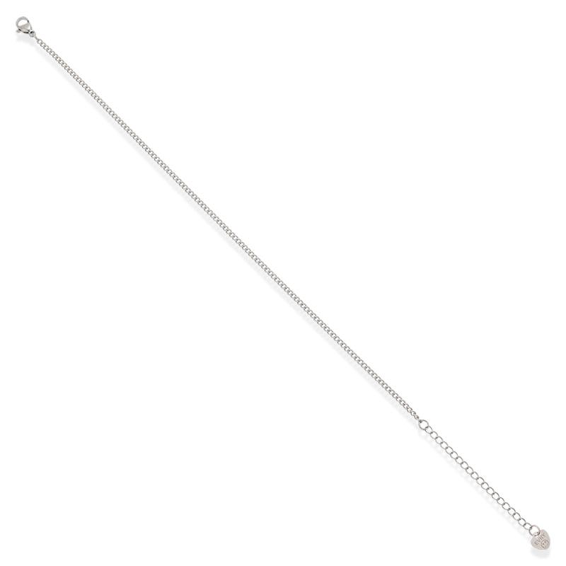 Evryday Chain Anklets