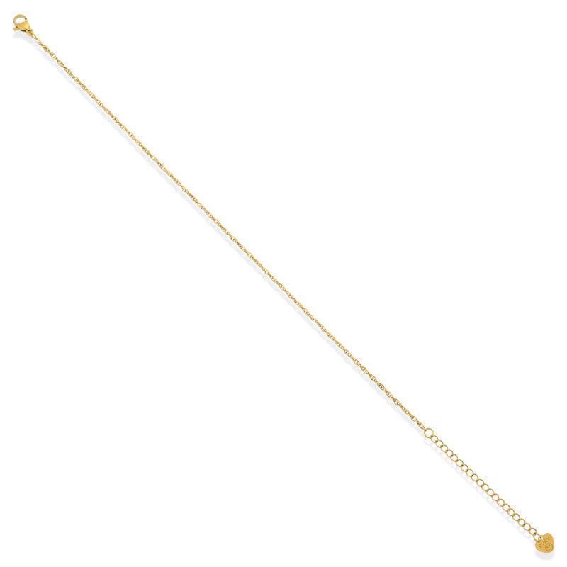 Evryday Chain Anklets