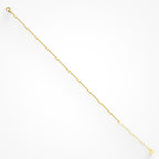 Evryday Chain Anklets