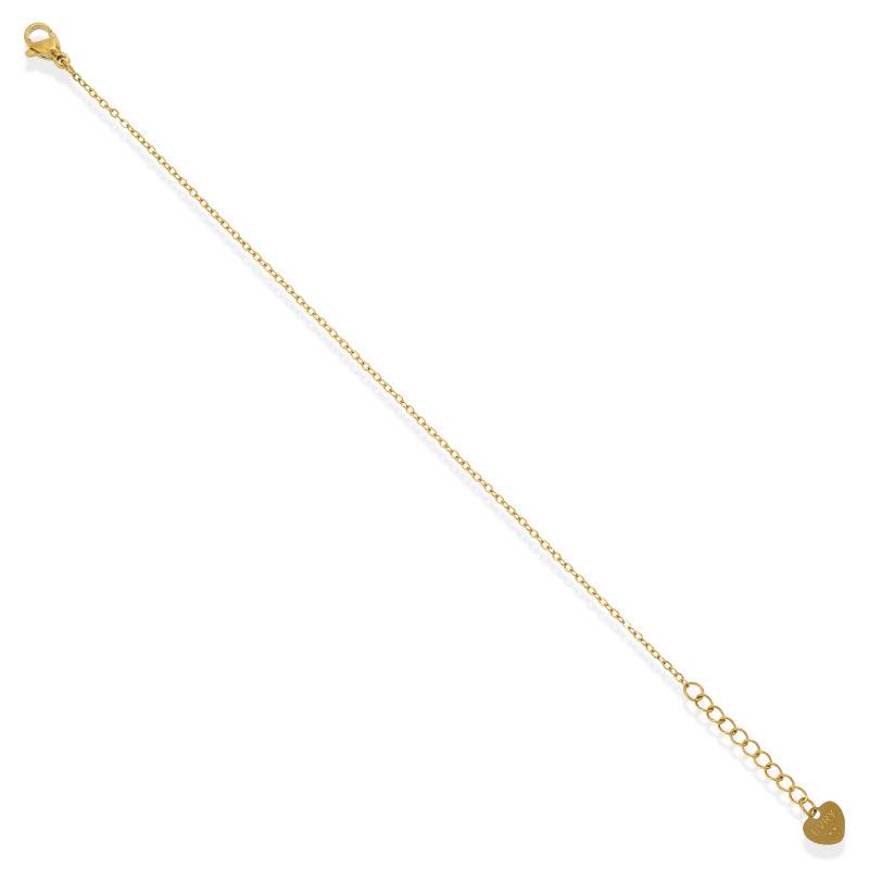 Evryday Chain Anklets