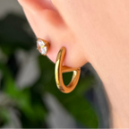 Dolce Iconic Hoop Earrings