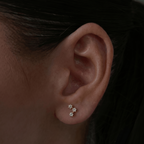 Constellation Earrings