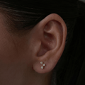 Constellation Earrings