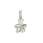 Shoe Charms