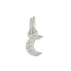 Shoe Charms